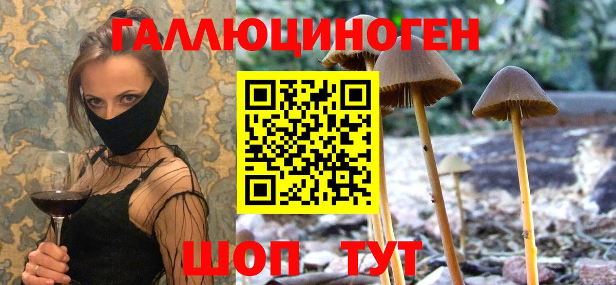Галлюциногенные грибы Magic Shrooms  Галлюциногенные грибы Cubensis  Вход с VPN  Тимашёвск 