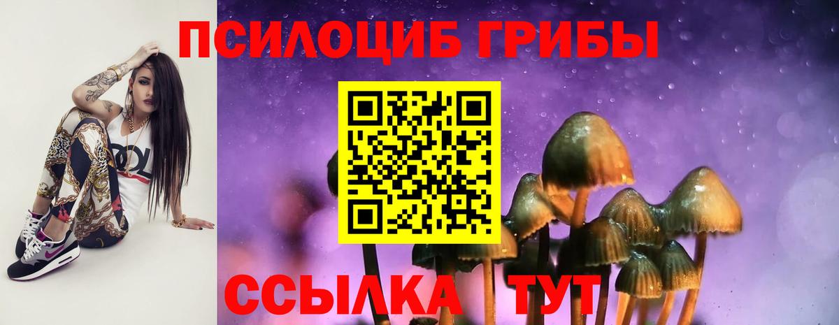 Псилоцибиновые грибы мухоморы Тимашёвск
